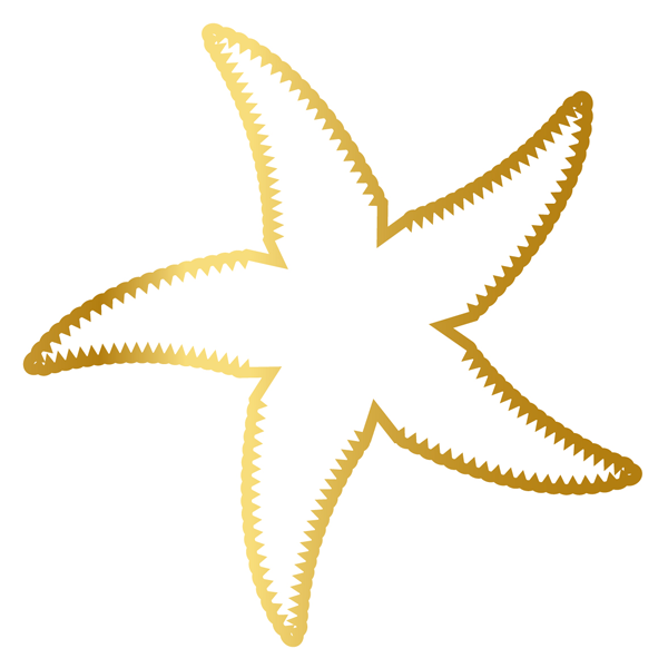 starfish icon